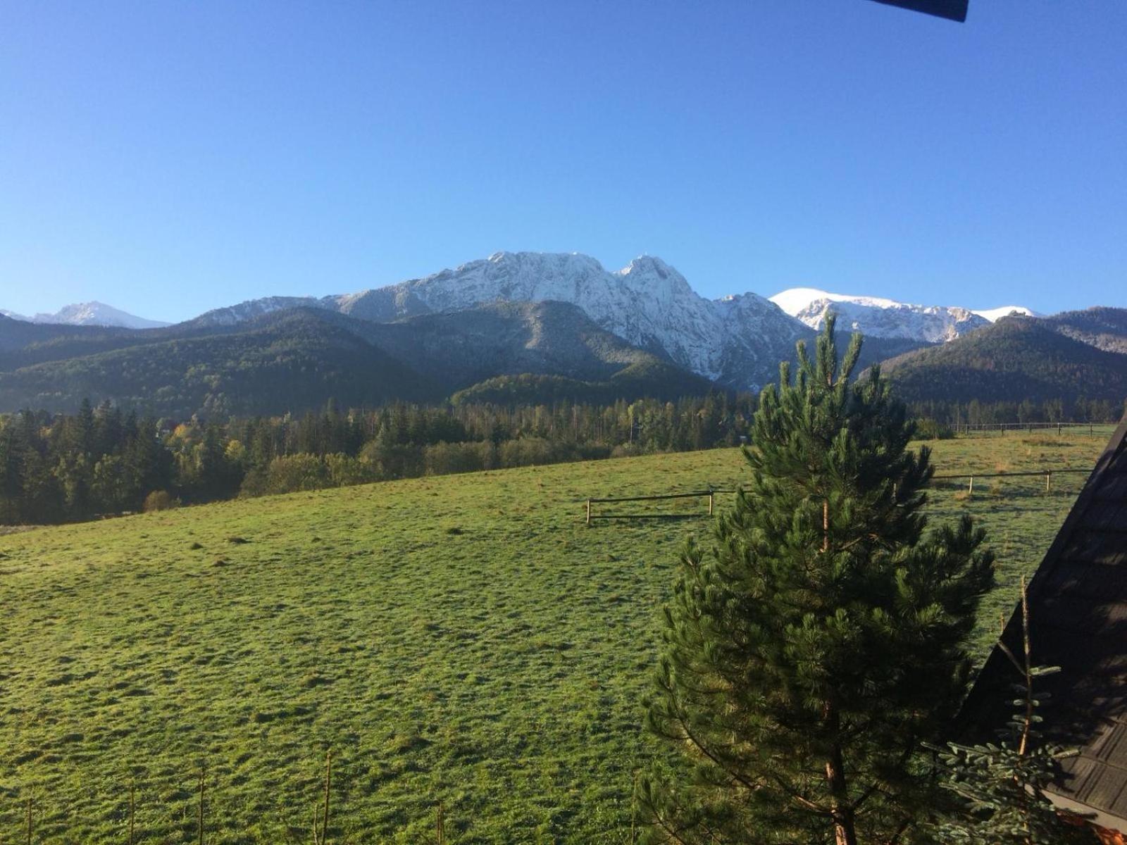Goralski Dom Z Kominkiem Chalet