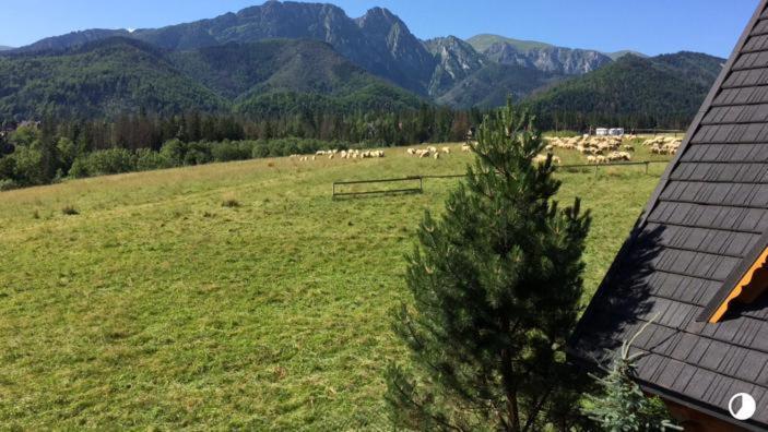 Chalet Goralski Dom Z Kominkiem Zakopane