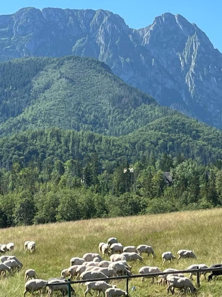 Chalet Goralski Dom Z Kominkiem *
