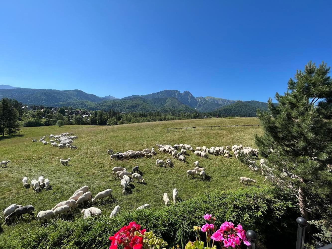 Chalet Goralski Dom Z Kominkiem *