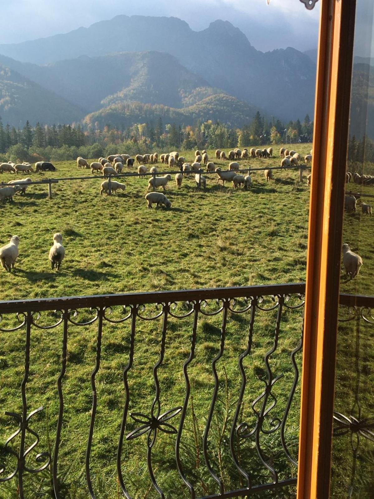 Chalet Goralski Dom Z Kominkiem Zakopane
